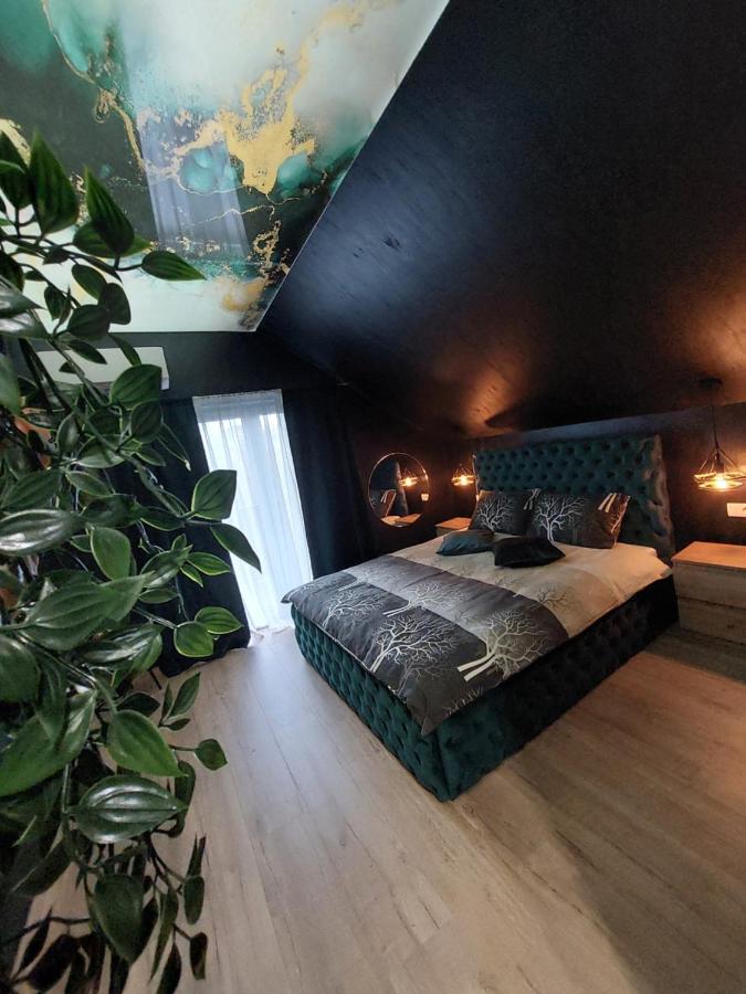 Stars Lux Room Belgrad Cameră foto