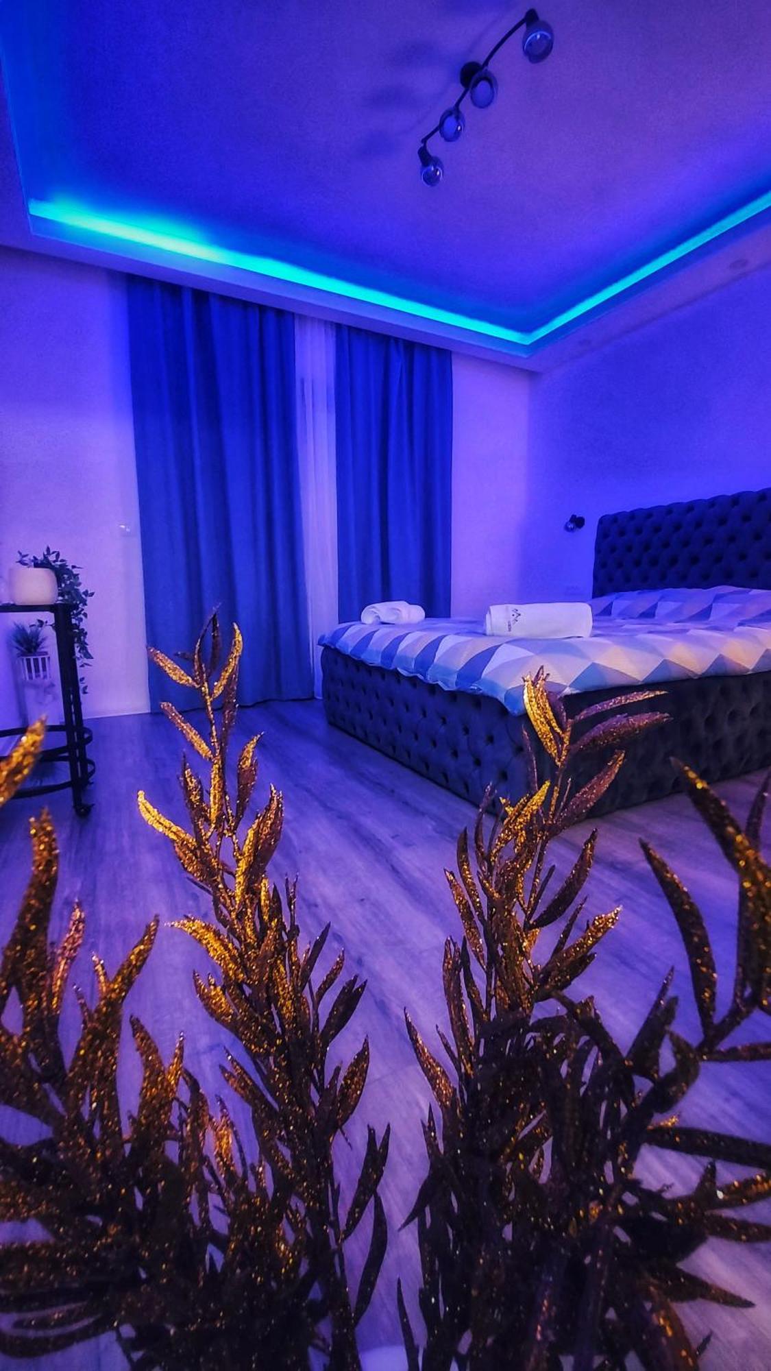 Stars Lux Room Belgrad Cameră foto
