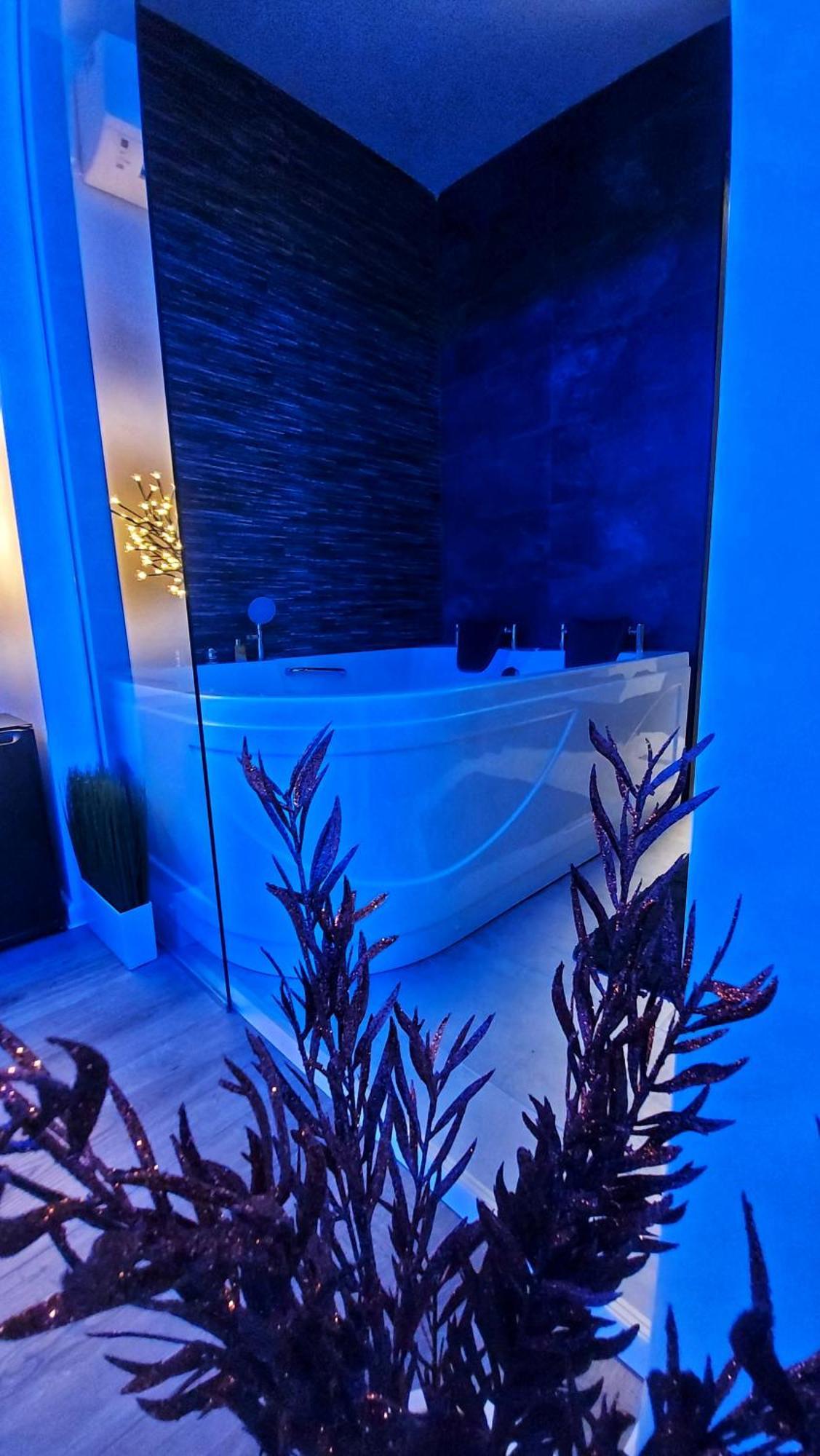 Stars Lux Room Belgrad Cameră foto